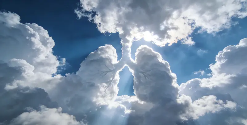 蚌埠肺癌靶向120基因检测（组织）图片1