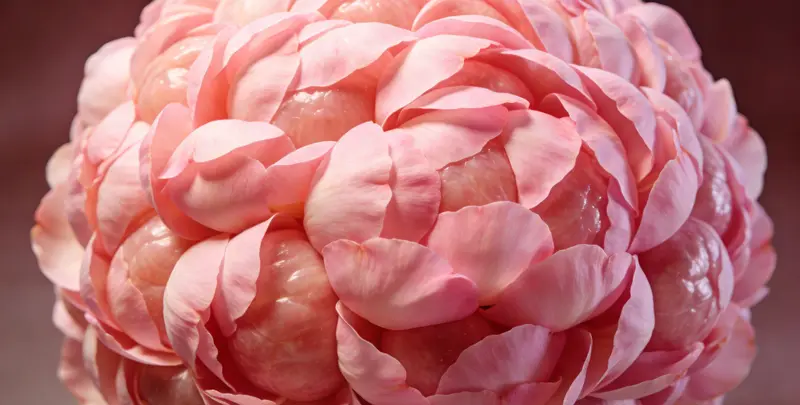 蚌埠BRCA1/2乳腺癌卵巢癌基因检测图片1